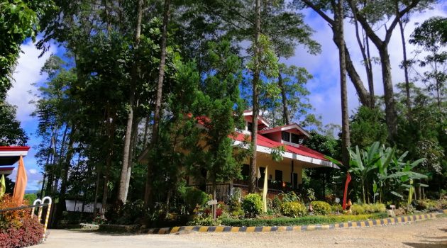 binahon-agroforestry-farm