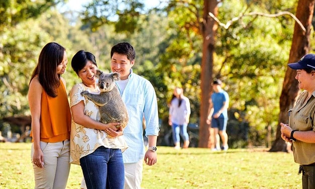 Explore A Wonderful World Of Wildlife Parks, Zoos, And Animal Encounters in Brisbane’s City Streets