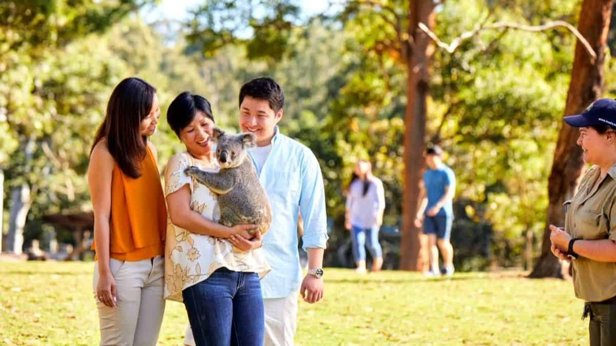 Explore A Wonderful World Of Wildlife Parks, Zoos, And Animal